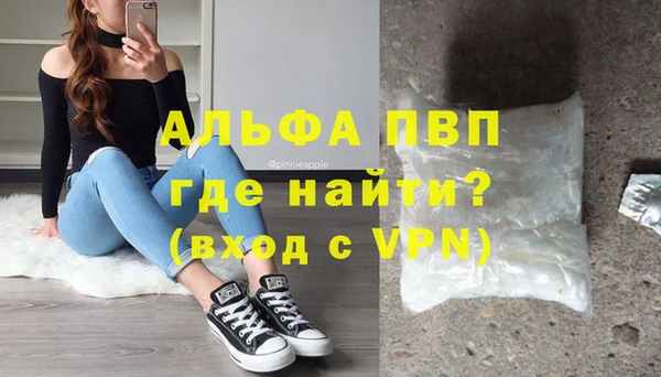 спиды Покачи