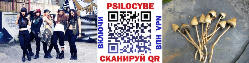 Псилоцибиновые грибы мицелий Волхов